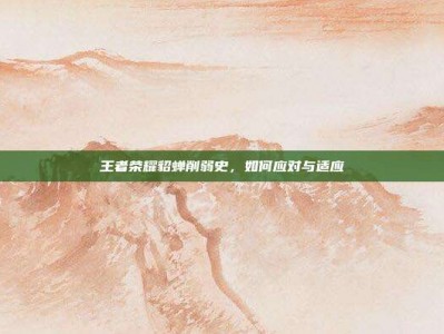王者荣耀貂蝉削弱史，如何应对与适应