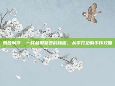 奶昔制作，一杯丝滑奶昔的秘密，从零开始的手作攻略