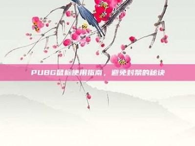PUBG鼠标使用指南，避免封禁的秘诀