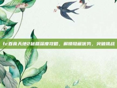 fc吞食天地2秘籍深度攻略，解锁隐藏优势，突破挑战