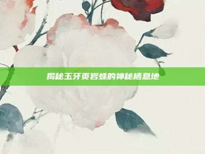揭秘玉牙页岩蛛的神秘栖息地