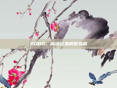 PUBG，高级设置调整指南