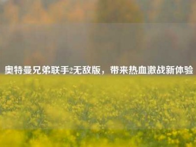 奥特曼兄弟联手2无敌版，带来热血激战新体验