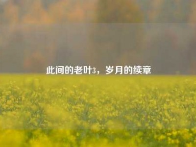 此间的老叶3，岁月的续章