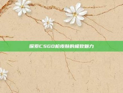 探索CSGO枪皮肤的极致魅力