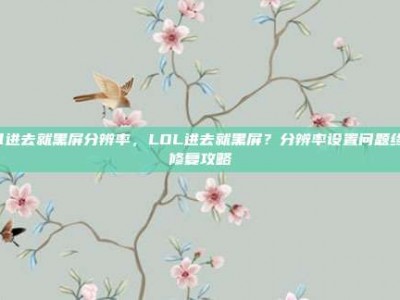 lol进去就黑屏分辨率，LOL进去就黑屏？分辨率设置问题终极修复攻略