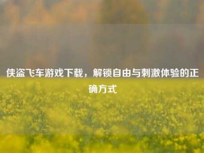侠盗飞车游戏下载，解锁自由与刺激体验的正确方式