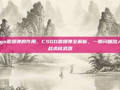 csgo震爆弹的作用，CSGO震爆弹全解析，一颗闪瞎敌人的战术核武器