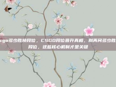 csgo多少胜换段位，CSGO段位晋升真相，别再问多少胜换段位，这些核心机制才是关键