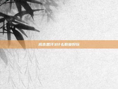 成吉思汗3什么职业好玩