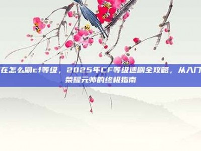 现在怎么刷cf等级，2025年CF等级速刷全攻略，从入门到荣耀元帅的终极指南