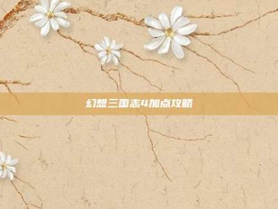幻想三国志4加点攻略