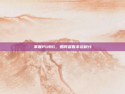 掌握PUBG，如何查看幸运积分