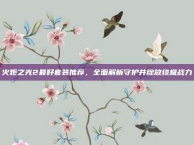 火炬之光2最好套装推荐，全面解析守护并绽放终极战力