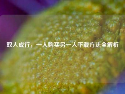 双人成行，一人购买另一人下载方法全解析