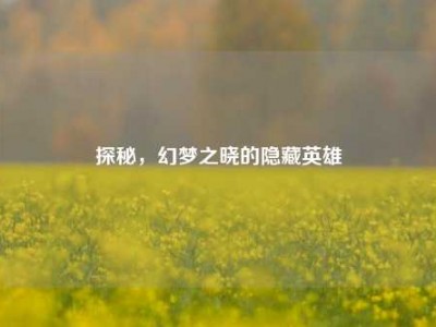 探秘，幻梦之晓的隐藏英雄
