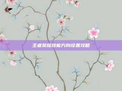 王者荣耀技能方向设置攻略
