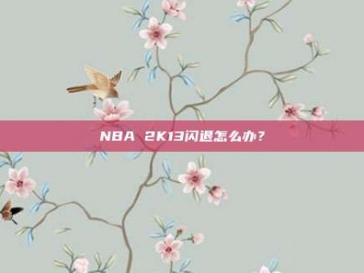 NBA 2K13闪退怎么办？