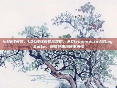 lol掉线英文，LOL掉线英文全攻略，从Disconnected到Lag Spike，秒懂外服沟通不再慌