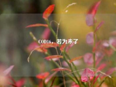 COD16，若为未了