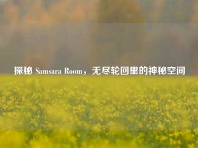 探秘 Samsara Room，无尽轮回里的神秘空间