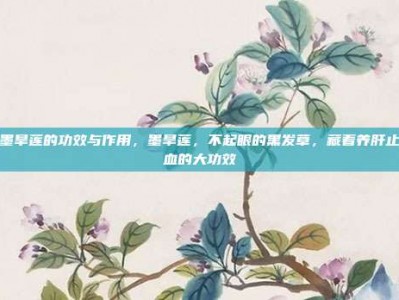 墨旱莲的功效与作用，墨旱莲，不起眼的黑发草，藏着养肝止血的大功效