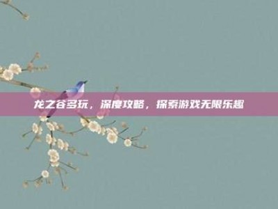 龙之谷多玩，深度攻略，探索游戏无限乐趣