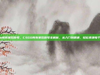 csgo所有赛后称号，CSGO所有赛后称号全解析，从入门到精通，轻松拿满每个荣誉