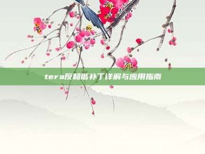 tera反和谐补丁详解与应用指南