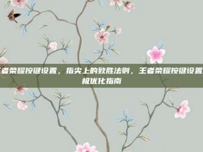 王者荣耀按键设置，指尖上的致胜法则，王者荣耀按键设置终极优化指南