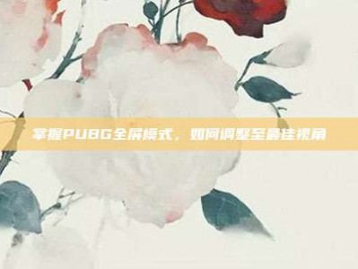 掌握PUBG全屏模式，如何调整至最佳视角