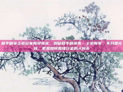 和平精英土豪玩家帐号真实，揭秘和平精英真·土豪帐号，不只是充钱，更是如何看懂行走的人民币