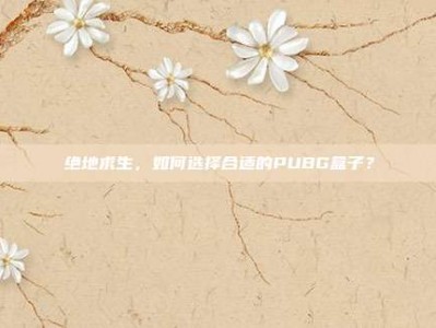 绝地求生，如何选择合适的PUBG盒子？