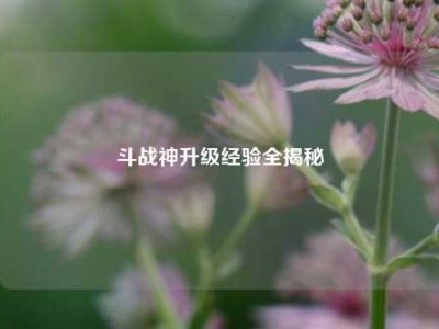 斗战神升级经验全揭秘