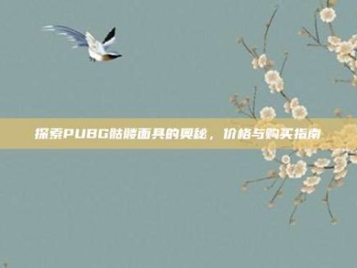 探索PUBG骷髅面具的奥秘，价格与购买指南