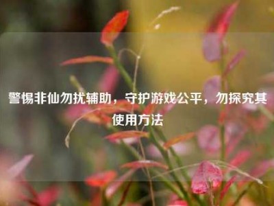 警惕非仙勿扰辅助，守护游戏公平，勿探究其使用方法
