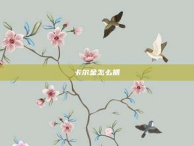 卡尔金怎么抓