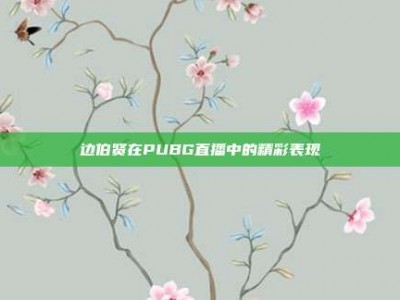 边伯贤在PUBG直播中的精彩表现