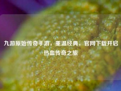 九游原始传奇手游，重温经典，官网下载开启热血传奇之旅