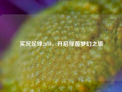实况足球2010，开启绿茵梦幻之旅