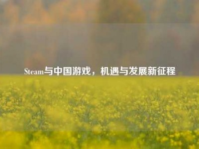 Steam与中国游戏，机遇与发展新征程