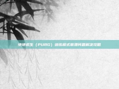 绝地求生（PUBG）训练模式崩溃问题解决攻略