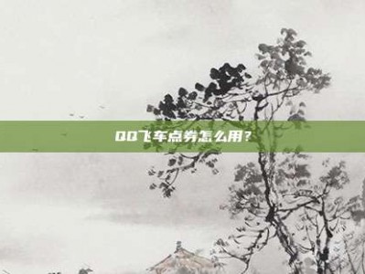 QQ飞车点券怎么用？