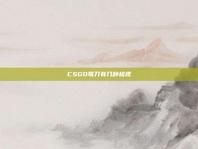 CSGO弯刀有几种检视