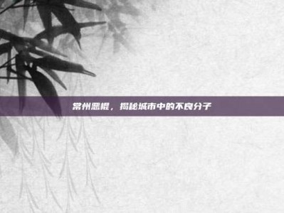 常州恶棍，揭秘城市中的不良分子