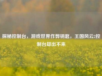 探秘控制台，游戏世界作弊钥匙，王国风云2控制台却出不来