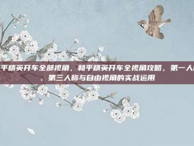 和平精英开车全部视角，和平精英开车全视角攻略，第一人称、第三人称与自由视角的实战运用