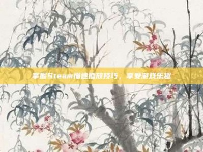 掌握Steam慢速播放技巧，享受游戏乐趣