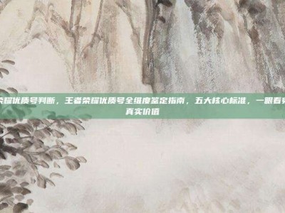 王者荣耀优质号判断，王者荣耀优质号全维度鉴定指南，五大核心标准，一眼看穿账号真实价值