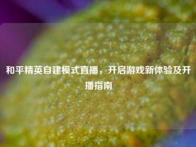 和平精英自建模式直播，开启游戏新体验及开播指南